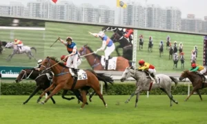 Khám Phá Cá Cược Đua Ngựa MMLive Bí Kíp Thắng Lớn Từ Trường Đua