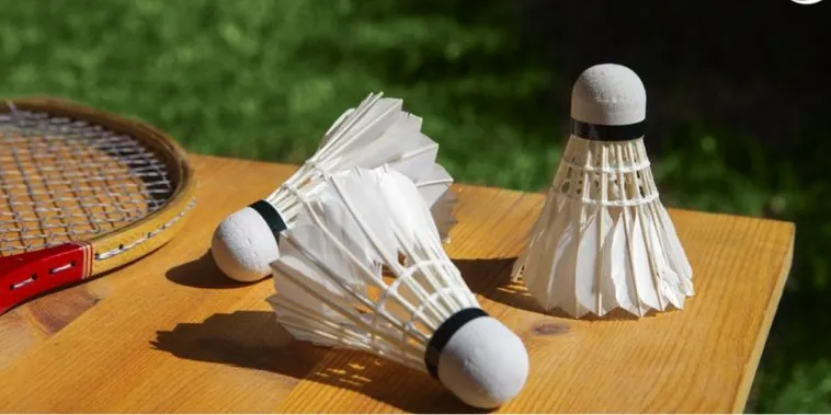 Bí Kíp Cách Chơi Cá Cược Cầu Lông Tại MMLive Giúp Bạn Thắng Lớn