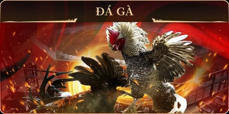 Bí Quyết Bất Bại Khi Chơi Đá Gà GA28 Tại MMLive Từ Các Cao Thủ